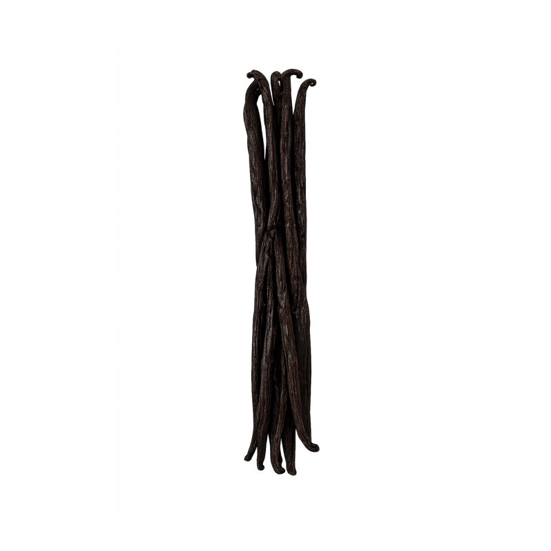 Vanille Bourbon Noire TK 15-20 cm